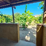 Casa Del Contadino Séjour à la ferme