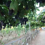 Casa Del Contadino Séjour à la ferme *