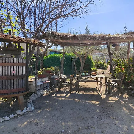 Фермерский дом Agriturismo Casa Del Contadino Drapia