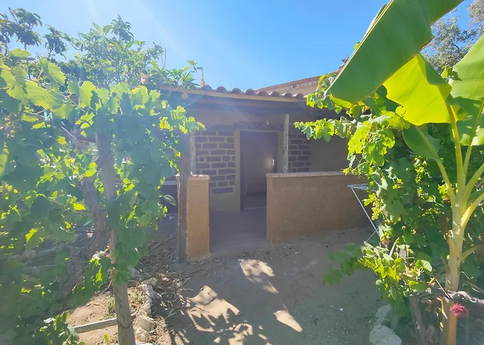 Alojamento de Turismo Rural Casa Del Contadino *