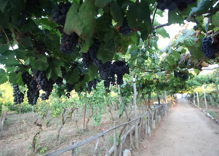 Casa Del Contadino Alojamento de Turismo Rural *
