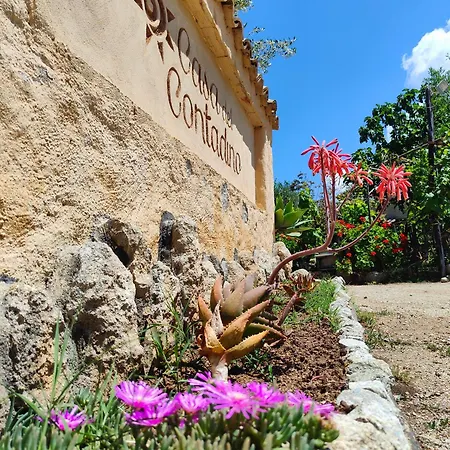 Agriturismo Casa Del Contadino Farm stay *