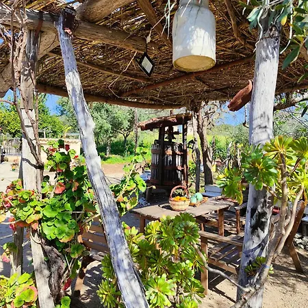 Agriturismo Casa Del Contadino *