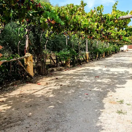 Agriturismo Casa Del Contadino Farm stay