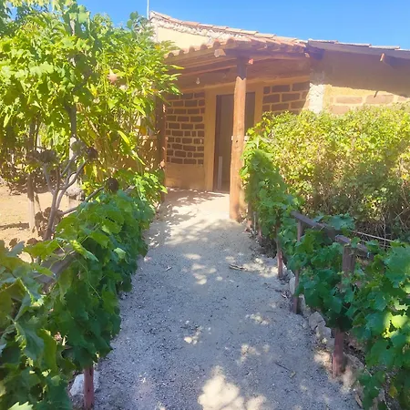 Casa Del Contadino