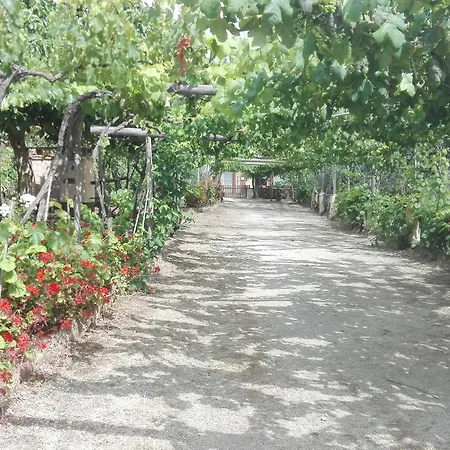 Agriturismo Casa Del Contadino