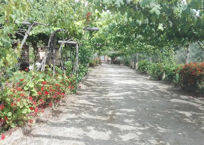 Agriturismo Casa Del Contadino